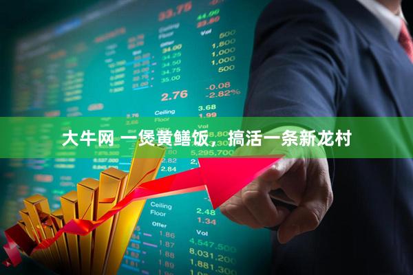 大牛网 一煲黄鳝饭，搞活一条新龙村